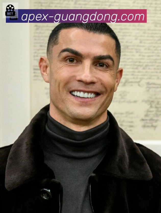 维尼修斯